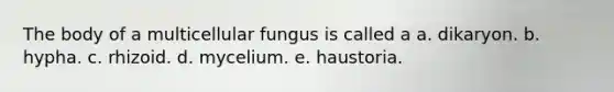 The body of a multicellular fungus is called a a. dikaryon. b. hypha. c. rhizoid. d. mycelium. e. haustoria.