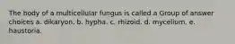 The body of a multicellular fungus is called a Group of answer choices a. dikaryon. b. hypha. c. rhizoid. d. mycelium. e. haustoria.