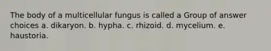 The body of a multicellular fungus is called a Group of answer choices a. dikaryon. b. hypha. c. rhizoid. d. mycelium. e. haustoria.