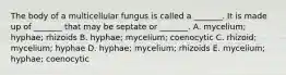 The body of a multicellular fungus is called a _______. It is made up of _______ that may be septate or _______. A. mycelium; hyphae; rhizoids B. hyphae; mycelium; coenocytic C. rhizoid; mycelium; hyphae D. hyphae; mycelium; rhizoids E. mycelium; hyphae; coenocytic