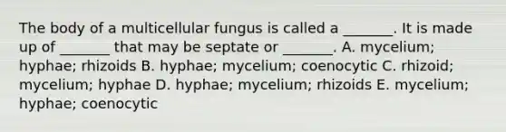 The body of a multicellular fungus is called a _______. It is made up of _______ that may be septate or _______. A. mycelium; hyphae; rhizoids B. hyphae; mycelium; coenocytic C. rhizoid; mycelium; hyphae D. hyphae; mycelium; rhizoids E. mycelium; hyphae; coenocytic