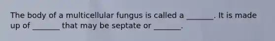 The body of a multicellular fungus is called a _______. It is made up of _______ that may be septate or _______.