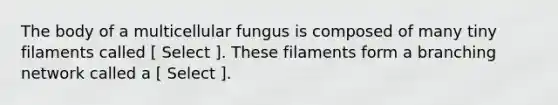 The body of a multicellular fungus is composed of many tiny filaments called [ Select ]. These filaments form a branching network called a [ Select ].