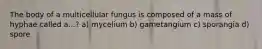 The body of a multicellular fungus is composed of a mass of hyphae called a...? a) mycelium b) gametangium c) sporangia d) spore