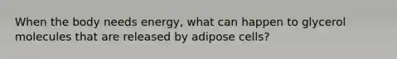 When the body needs energy, what can happen to glycerol molecules that are released by adipose cells?