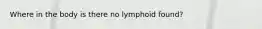 Where in the body is there no lymphoid found?