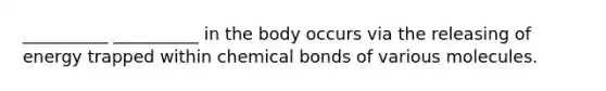 __________ __________ in the body occurs via the releasing of energy trapped within chemical bonds of various molecules.