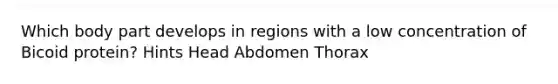 Which body part develops in regions with a low concentration of Bicoid protein? Hints Head Abdomen Thorax