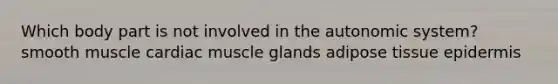 Which body part is not involved in the autonomic system? smooth muscle cardiac muscle glands adipose tissue epidermis