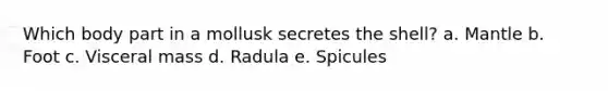 Which body part in a mollusk secretes the shell? a. Mantle b. Foot c. Visceral mass d. Radula e. Spicules