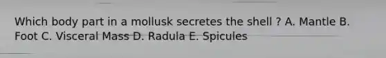 Which body part in a mollusk secretes the shell ? A. Mantle B. Foot C. Visceral Mass D. Radula E. Spicules