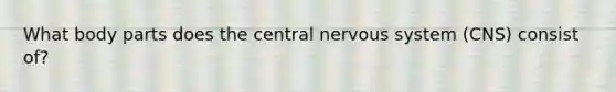 What body parts does the central nervous system (CNS) consist of?