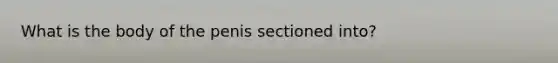 What is the body of the penis sectioned into?