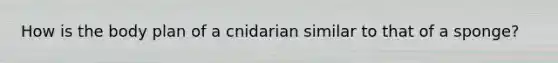 How is the body plan of a cnidarian similar to that of a sponge?