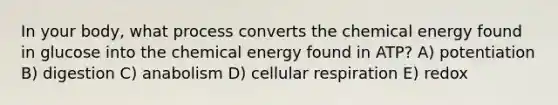 In your body, what process converts the chemical energy found in glucose into the chemical energy found in ATP? A) potentiation B) digestion C) anabolism D) cellular respiration E) redox