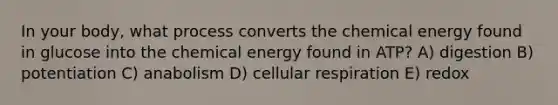 In your body, what process converts the chemical energy found in glucose into the chemical energy found in ATP? A) digestion B) potentiation C) anabolism D) cellular respiration E) redox