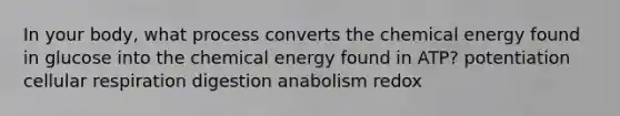 In your body, what process converts the chemical energy found in glucose into the chemical energy found in ATP? potentiation cellular respiration digestion anabolism redox