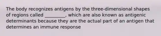 The body recognizes antigens by the three-dimensional shapes of regions called _________, which are also known as antigenic determinants because they are the actual part of an antigen that determines an immune response