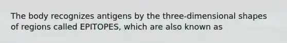 The body recognizes antigens by the three-dimensional shapes of regions called EPITOPES, which are also known as