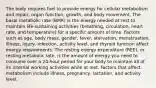 The body requires fuel to provide energy for cellular metabolism and repair, organ function, growth, and body movement. The basal metabolic rate (BMR) is the energy needed at rest to maintain life-sustaining activities (breathing, circulation, heart rate, and temperature) for a specific amount of time. Factors such as age, body mass, gender, fever, starvation, menstruation, illness, injury, infection, activity level, and thyroid function affect energy requirements. The resting energy expenditure (REE), or resting metabolic rate, is the amount of energy you need to consume over a 24-hour period for your body to maintain all of its internal working activities while at rest. Factors that affect metabolism include illness, pregnancy, lactation, and activity level.