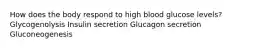 How does the body respond to high blood glucose levels? Glycogenolysis Insulin secretion Glucagon secretion Gluconeogenesis