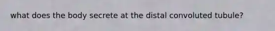 what does the body secrete at the distal convoluted tubule?