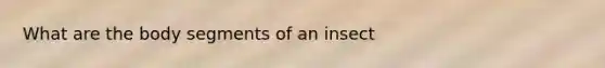 What are the body segments of an insect