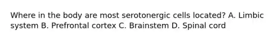 Where in the body are most serotonergic cells located? A. Limbic system B. Prefrontal cortex C. Brainstem D. Spinal cord