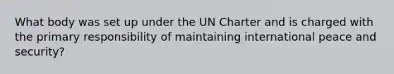 What body was set up under the UN Charter and is charged with the primary responsibility of maintaining international peace and security?