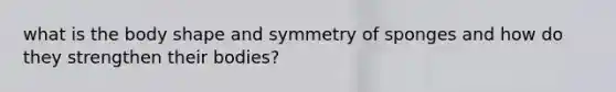 what is the body shape and symmetry of sponges and how do they strengthen their bodies?