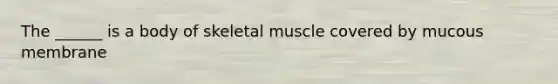 The ______ is a body of skeletal muscle covered by mucous membrane