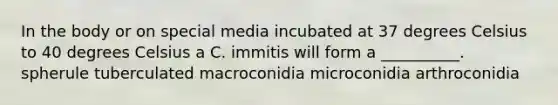 In the body or on special media incubated at 37 degrees Celsius to 40 degrees Celsius a C. immitis will form a __________. spherule tuberculated macroconidia microconidia arthroconidia