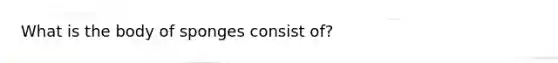What is the body of sponges consist of?