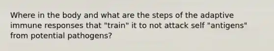 Where in the body and what are the steps of the adaptive immune responses that "train" it to not attack self "antigens" from potential pathogens?