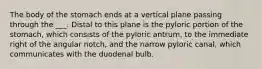 The body of the stomach ends at a vertical plane passing through the ___. Distal to this plane is the pyloric portion of the stomach, which consists of the pyloric antrum, to the immediate right of the angular notch, and the narrow pyloric canal, which communicates with the duodenal bulb.