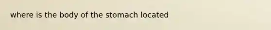 where is the body of <a href='https://www.questionai.com/knowledge/kLccSGjkt8-the-stomach' class='anchor-knowledge'>the stomach</a> located