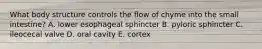 What body structure controls the flow of chyme into the small intestine? A. lower esophageal sphincter B. pyloric sphincter C. ileocecal valve D. oral cavity E. cortex