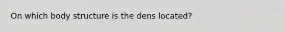 On which body structure is the dens located?