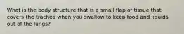 What is the body structure that is a small flap of tissue that covers the trachea when you swallow to keep food and liquids out of the lungs?