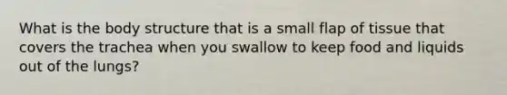 What is the body structure that is a small flap of tissue that covers the trachea when you swallow to keep food and liquids out of the lungs?