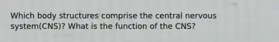 Which body structures comprise the central nervous system(CNS)? What is the function of the CNS?