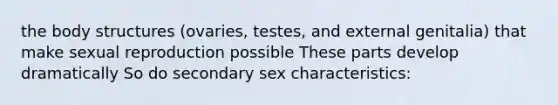 the body structures (ovaries, testes, and external genitalia) that make sexual reproduction possible These parts develop dramatically So do secondary sex characteristics: