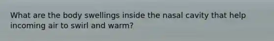 What are the body swellings inside the nasal cavity that help incoming air to swirl and warm?