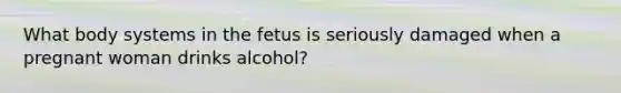 What body systems in the fetus is seriously damaged when a pregnant woman drinks alcohol?