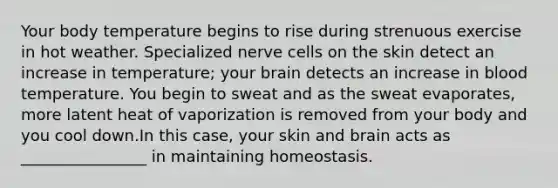 Your body temperature begins to rise during strenuous exercise in hot weather. Specialized nerve cells on the skin detect an increase in temperature; your brain detects an increase in blood temperature. You begin to sweat and as the sweat evaporates, more latent heat of vaporization is removed from your body and you cool down.In this case, your skin and brain acts as ________________ in maintaining homeostasis.