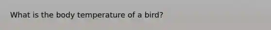 What is the body temperature of a bird?