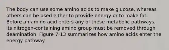 The body can use some amino acids to make glucose, whereas others can be used either to provide energy or to make fat. Before an amino acid enters any of these metabolic pathways, its nitrogen-containing amino group must be removed through deamination. Figure 7-13 summarizes how amino acids enter the energy pathway.