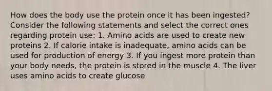 How does the body use the protein once it has been ingested? Consider the following statements and select the correct ones regarding protein use: 1. Amino acids are used to create new proteins 2. If calorie intake is inadequate, amino acids can be used for production of energy 3. If you ingest more protein than your body needs, the protein is stored in the muscle 4. The liver uses amino acids to create glucose