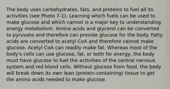 The body uses carbohydrates, fats, and proteins to fuel all its activities (see Photo 7-1). Learning which fuels can be used to make glucose and which cannot is a major key to understanding energy metabolism. Amino acids and glycerol can be converted to pyruvate and therefore can provide glucose for the body. Fatty acids are converted to acetyl CoA and therefore cannot make glucose. Acetyl CoA can readily make fat. Whereas most of the body's cells can use glucose, fat, or both for energy, the body must have glucose to fuel the activities of the central nervous system and red blood cells. Without glucose from food, the body will break down its own lean (protein-containing) tissue to get the amino acids needed to make glucose.