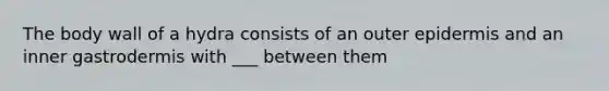 The body wall of a hydra consists of an outer epidermis and an inner gastrodermis with ___ between them